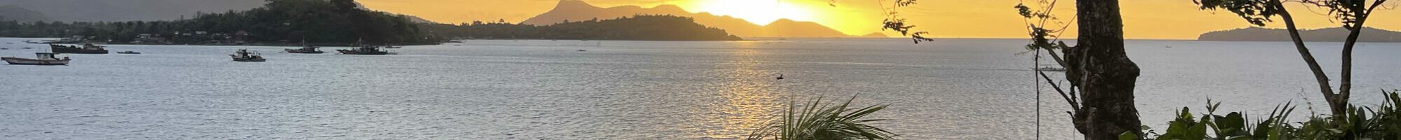 cropped-web_header-070723-1.jpg